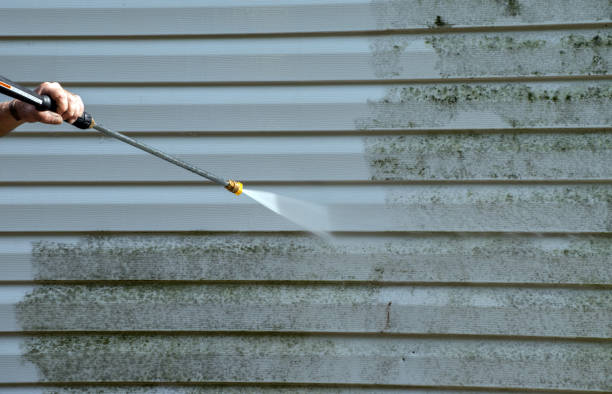 Best Sidewalk and Walkway Cleaning  in Salina, OK
